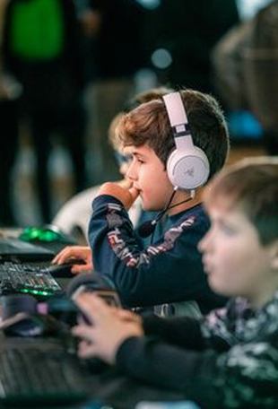 giấy phép QH88